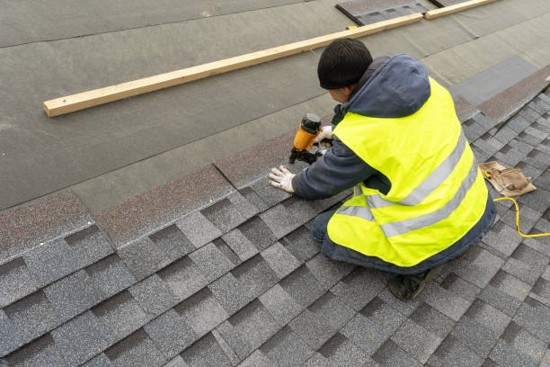 Best Local Roofing Companies  in Springdale, AR