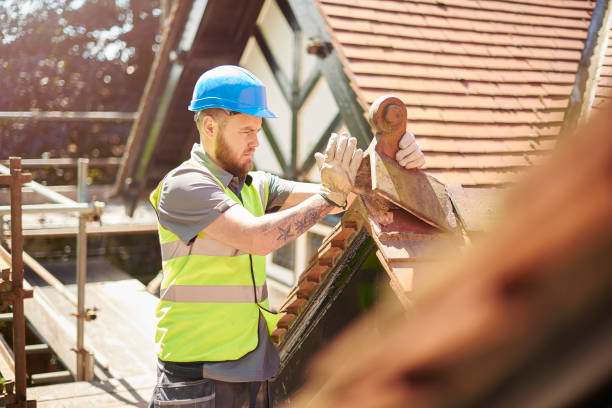 Best Flat Roof Repair Services  in Springdale, AR